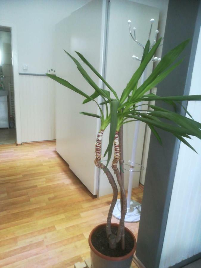 Zentral Gelegene Wohnung In Velbert-Mitte 외부 사진